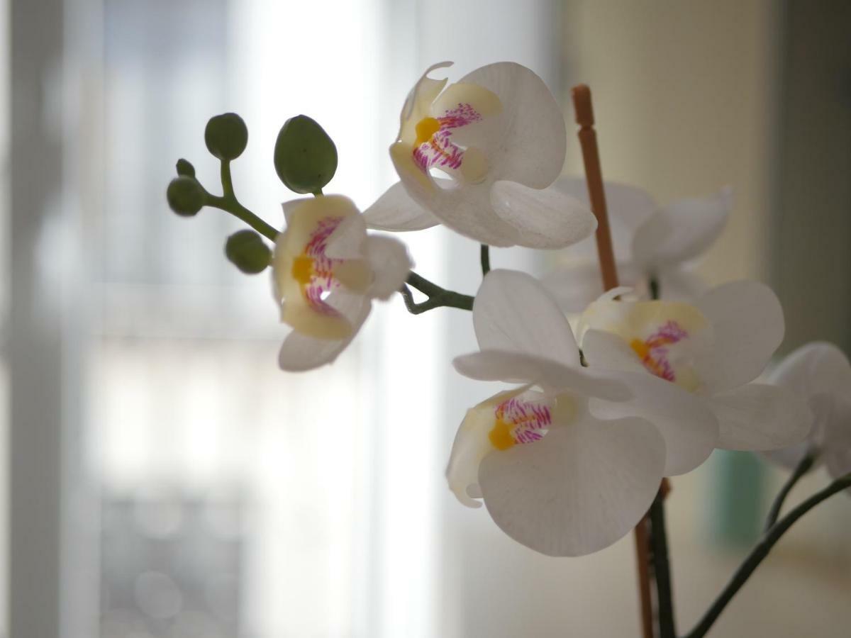Home In Seville Luxury V33-1A エクステリア 写真